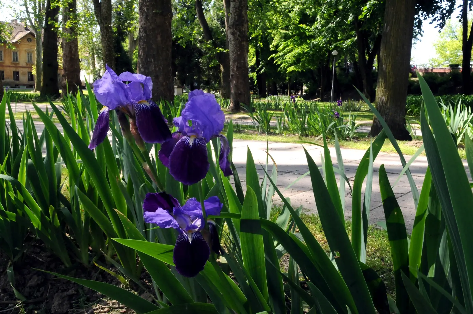 SISAK_05