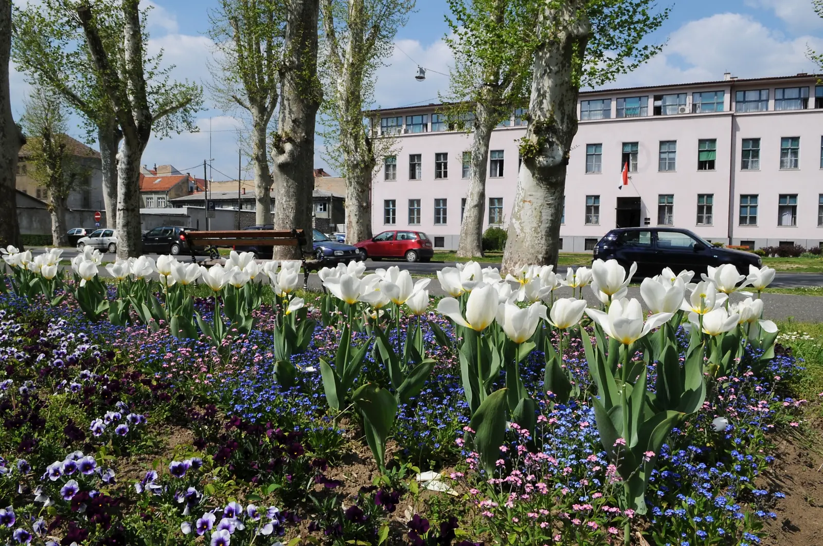 SISAK_31